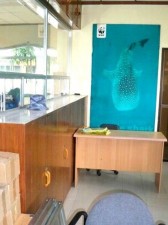 Whale Shark Tour Center