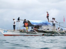 Whale Shark Spotting Donsol