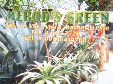 Mebod's Green