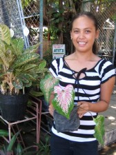 house plants for sale