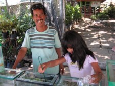 tropical fish vendor