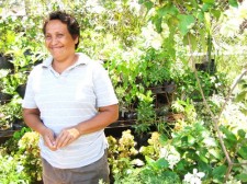 Buying Plants in Ormoc City