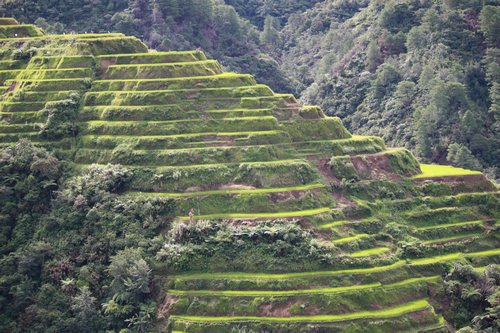 banaue ifugao rice terraces banaue rice terraces