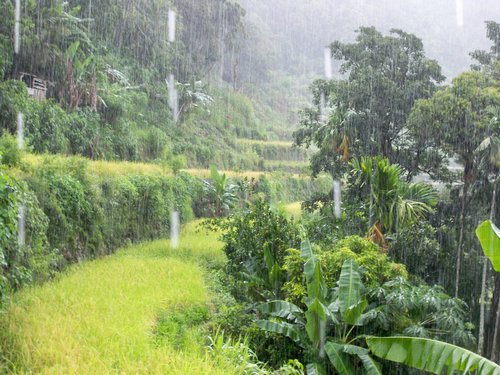 Rainy Day in Batad