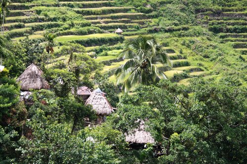 Batad traditional dwellings