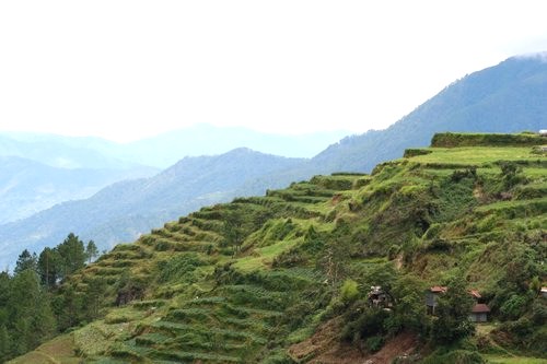 Halsema Highway vegetable terraces