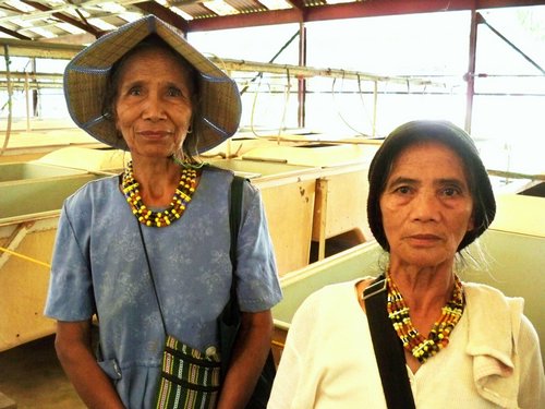 2 Kalinga women visit the crocodile farm