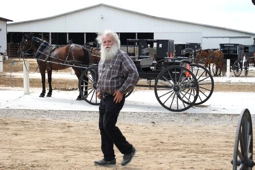 Amish horse and buggies