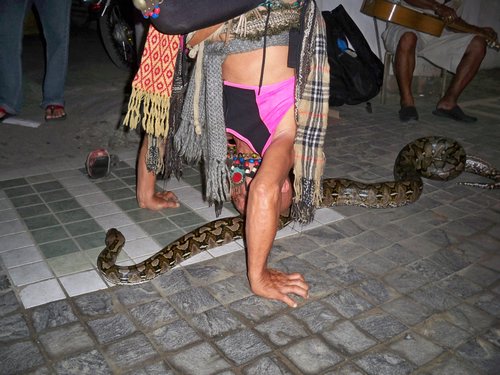 man standing on head with python