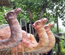 camels lined up for the Christmas parade