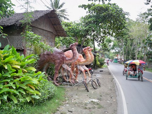 camels and tricycle