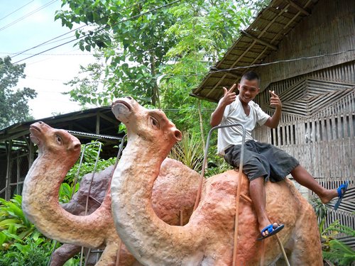 camel driver