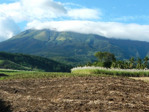 Canlaon with sugar cane fields