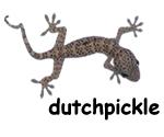 dutchpickle website logo
