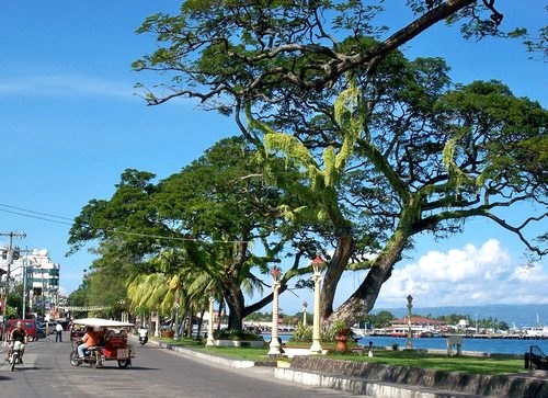 view of waterfront from highway in Dumaguete