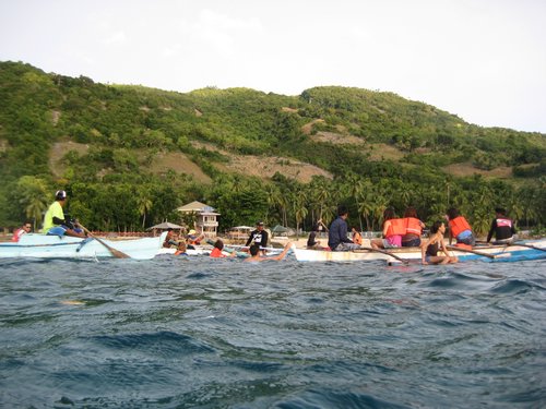 whaleshark watchers