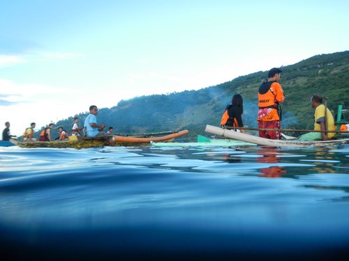 whale shark tourists Oslob