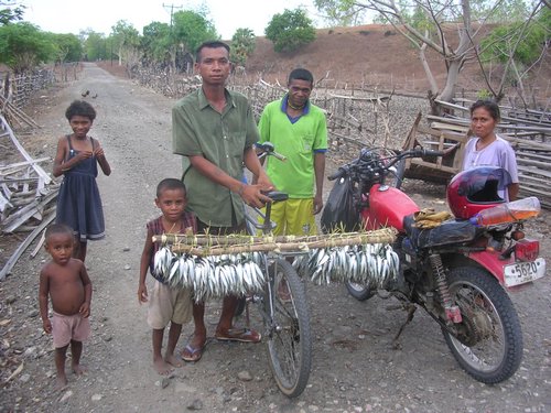 here is a guy selling fish here is a guy selling fish