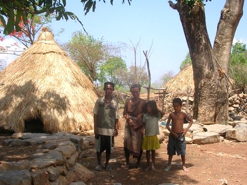 traditional home traditional home