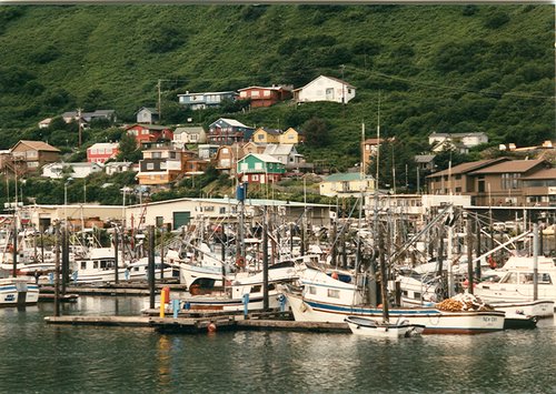 Kodiak harbour